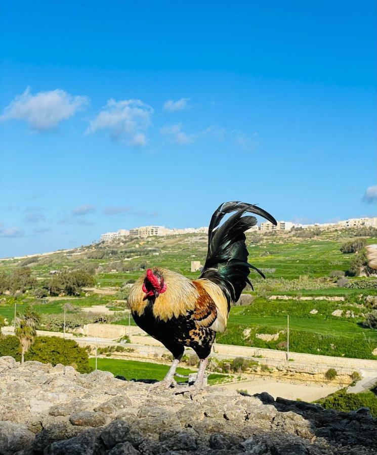 Detached Lodge With Private Pool Surrounded By Nature Għasri Extérieur photo