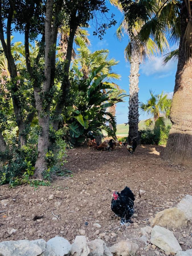 Detached Lodge With Private Pool Surrounded By Nature Għasri Extérieur photo