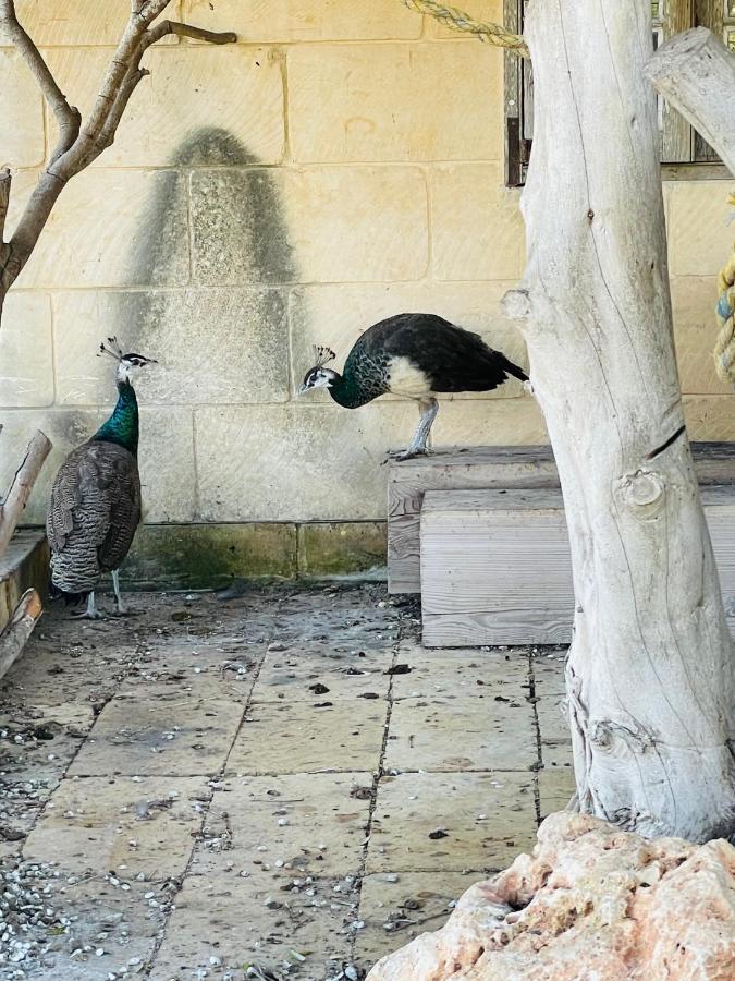 Detached Lodge With Private Pool Surrounded By Nature Għasri Extérieur photo